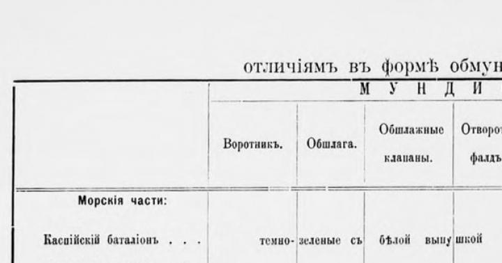 206ο Σύνταγμα Πεζικού του 1ου Λευκορωσικού Μετώπου